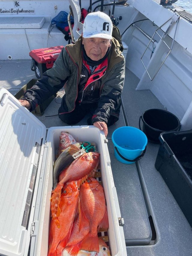 レンコ(キダイ)・イサキ・チカメキントキ