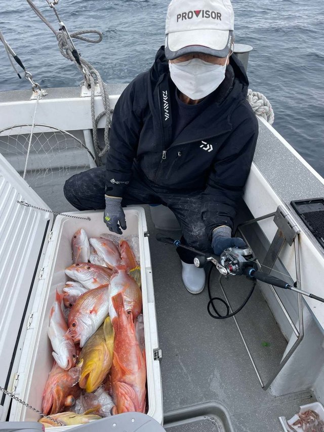 レンコ(キダイ)・アオナ(アオハタ)・アラカブ(カサゴ)