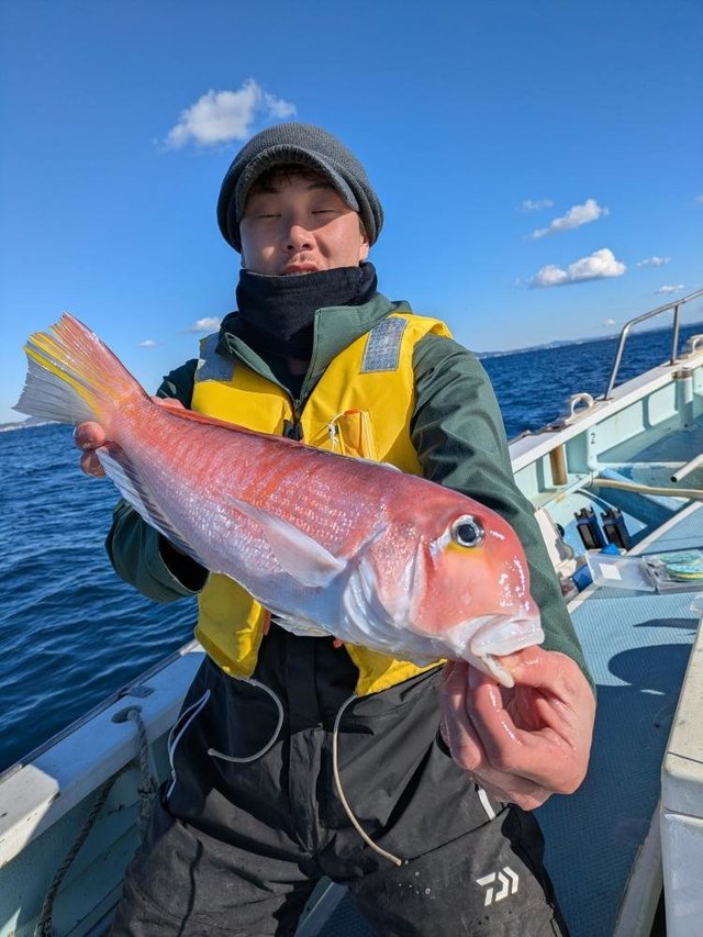 アマダイ(アカアマダイ)