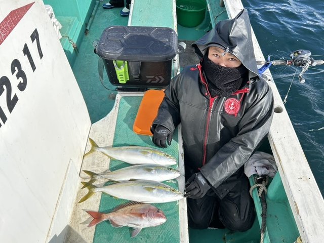 マダイ・イナダ(ブリ)