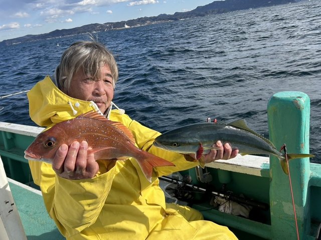 マダイ・イナダ(ブリ)