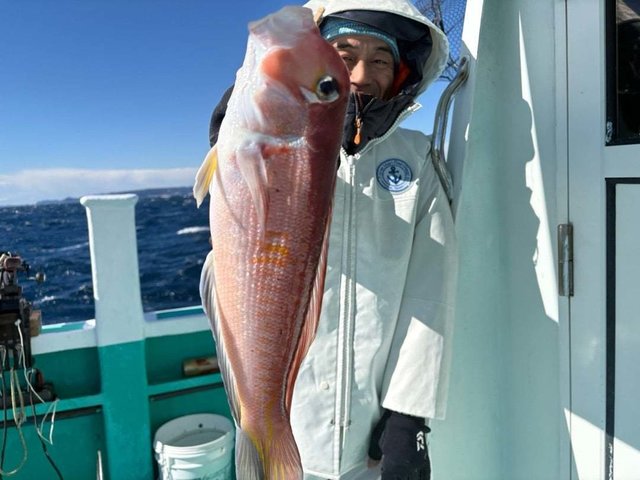 アマダイ(アカアマダイ)