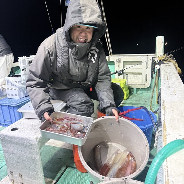 マルイカ(ケンサキイカ)・ヤリイカ