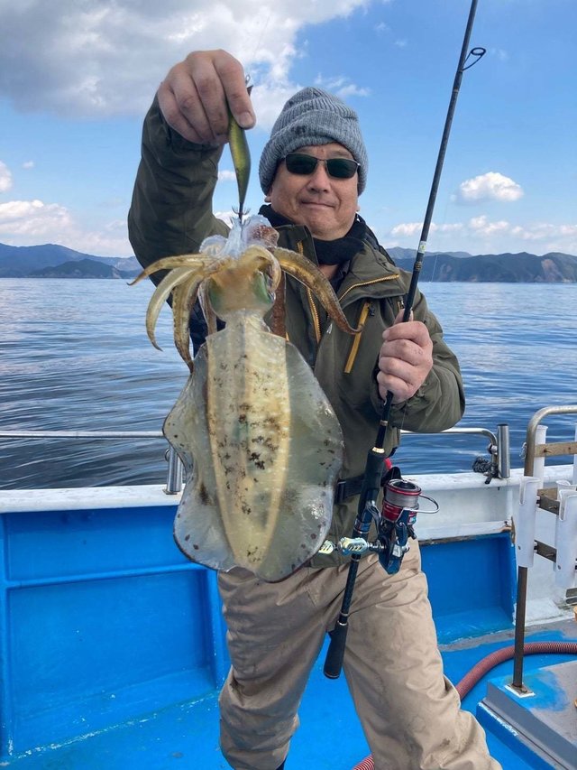 アオリ(アオリイカ)