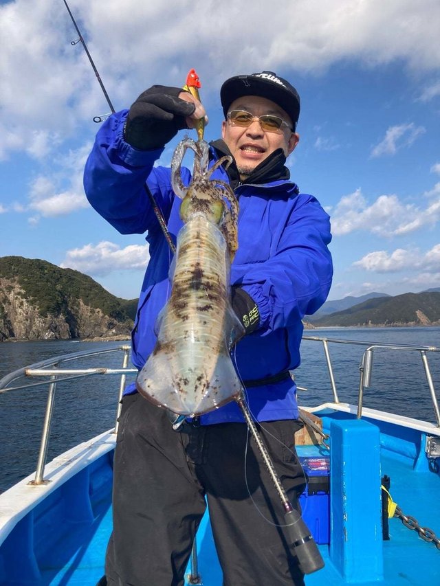 アオリ(アオリイカ)