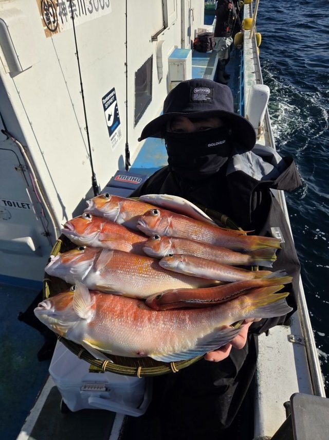 アマダイ(アカアマダイ)