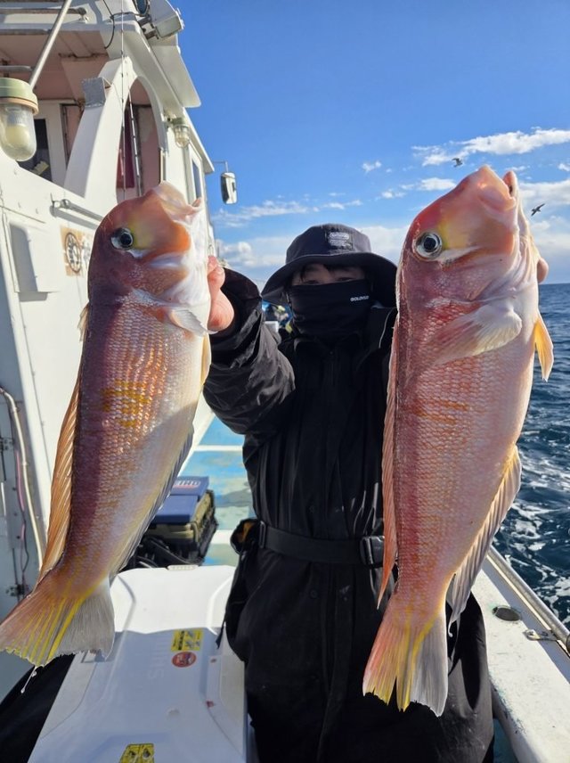 アマダイ(アカアマダイ)