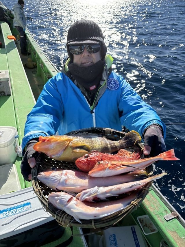 アオハタ・アマダイ(アカアマダイ)・カサゴ・カナガシラ