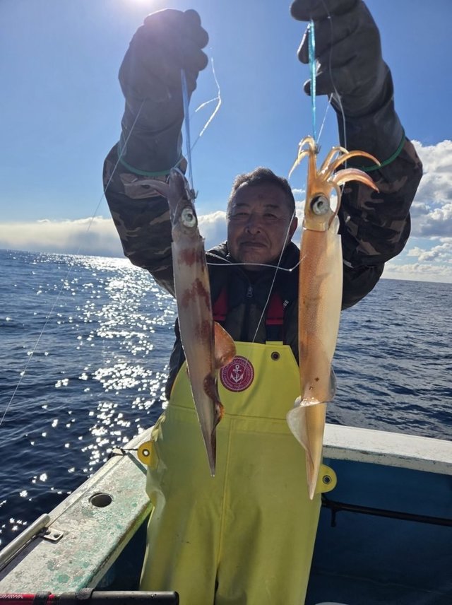 イカ(ケンサキイカ)