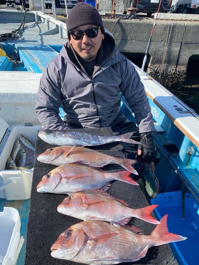 マダイ・メダイ