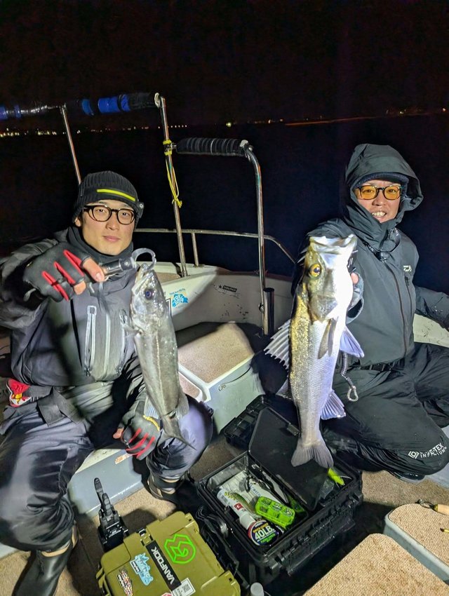 シーバス(スズキ)