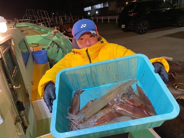 マルイカ(ケンサキイカ)