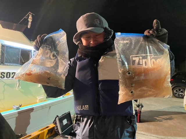 マルイカ(ケンサキイカ)