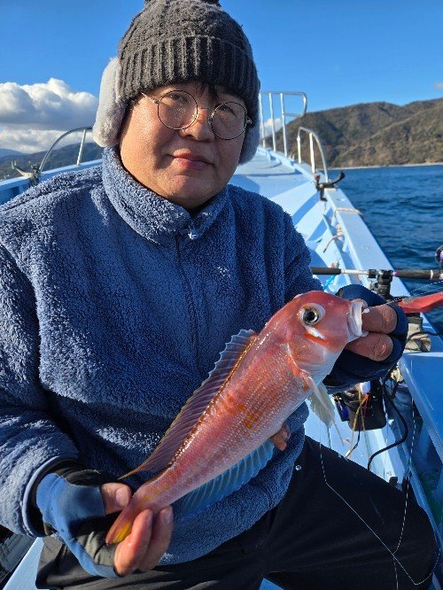 アマダイ(アカアマダイ)