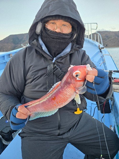 アマダイ(アカアマダイ)