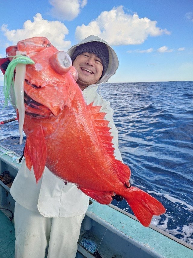 ベニアコウ(オオサガ)