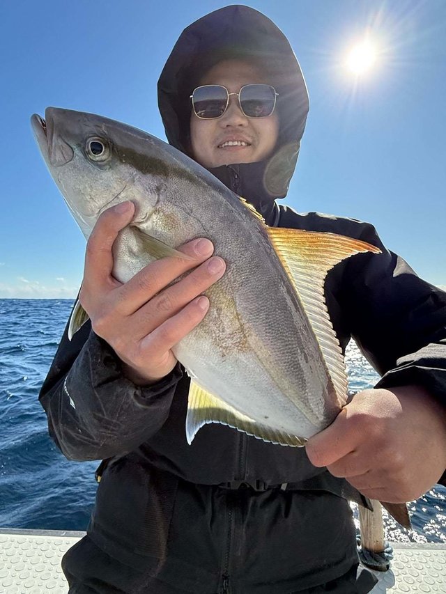 ヒレナガカンパチ