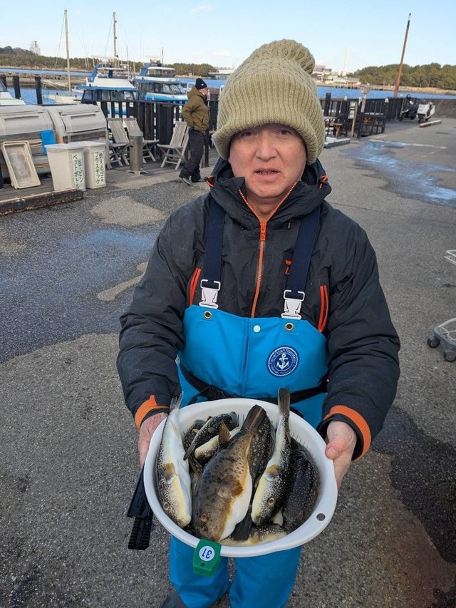 アカメフグ・コモンフグ・ショウサイフグ