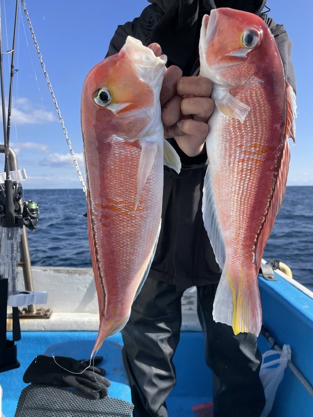 アマダイ(アカアマダイ)