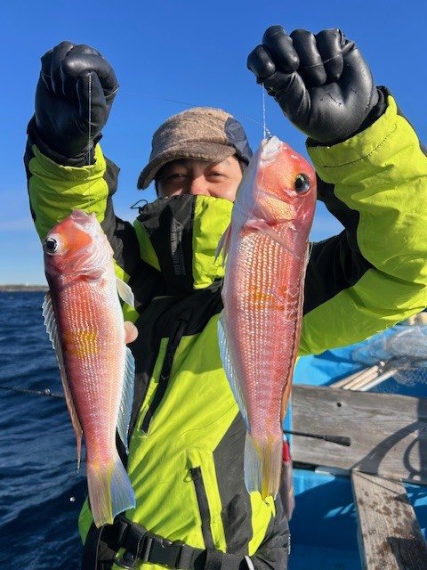 アマダイ(アカアマダイ)