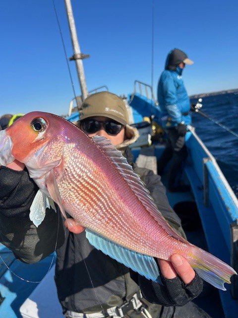 アマダイ(アカアマダイ)