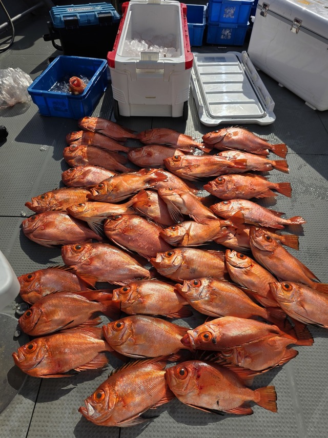 チカメキントキ