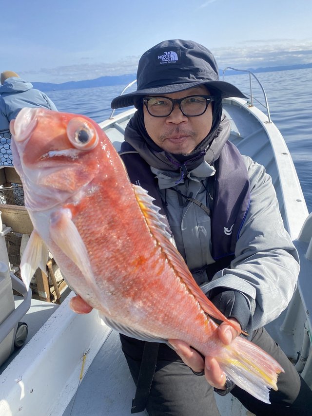 アマダイ(アカアマダイ)