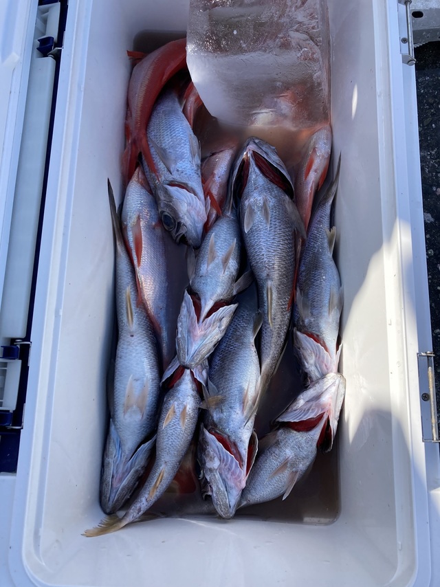 クロムツ・キンメ(キンメダイ)