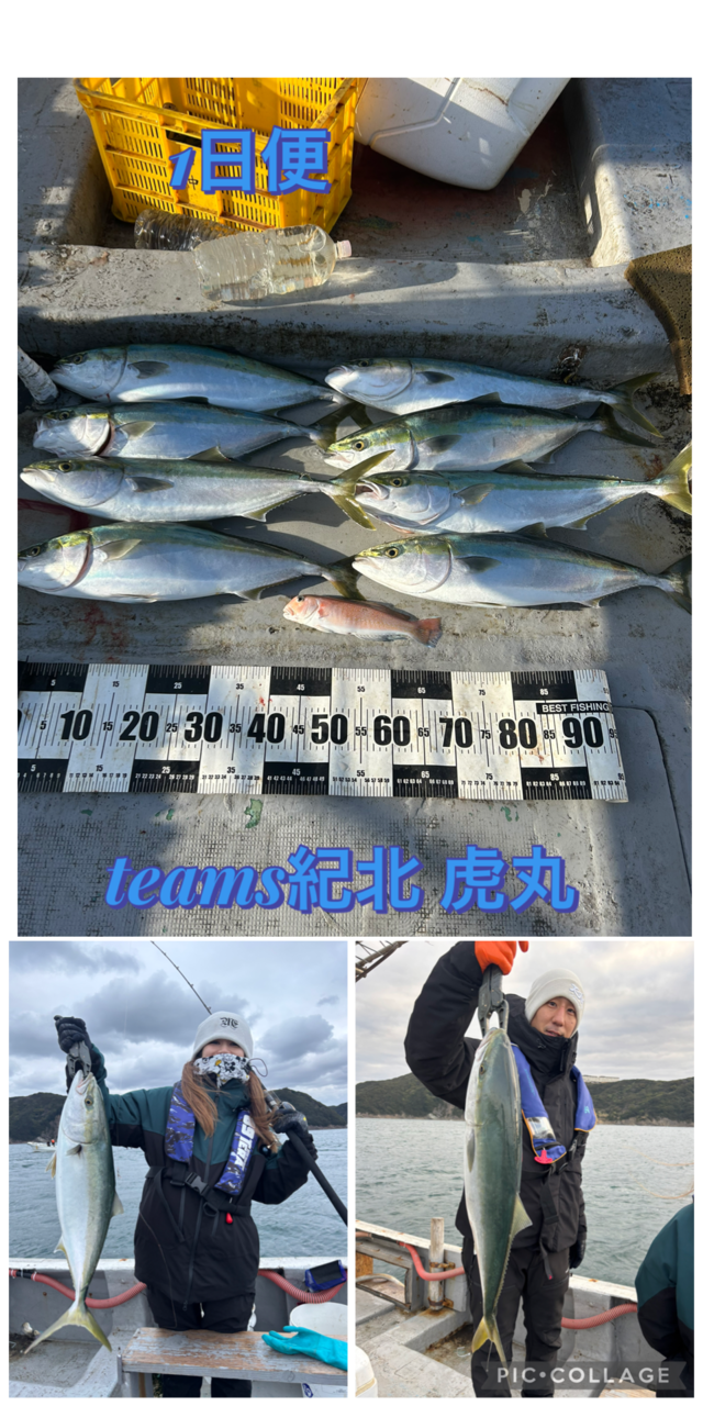 メジロ(ブリ)・シロアマダイ