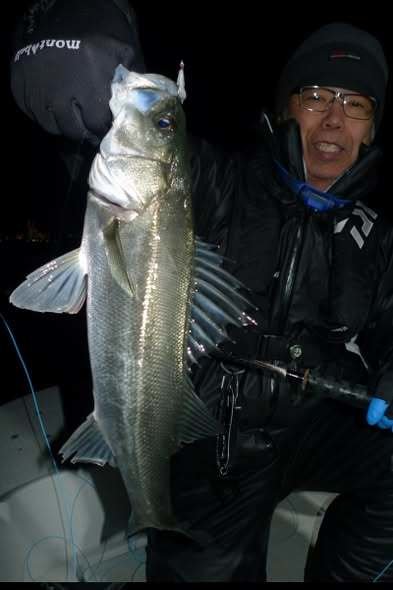 シーバス(スズキ)