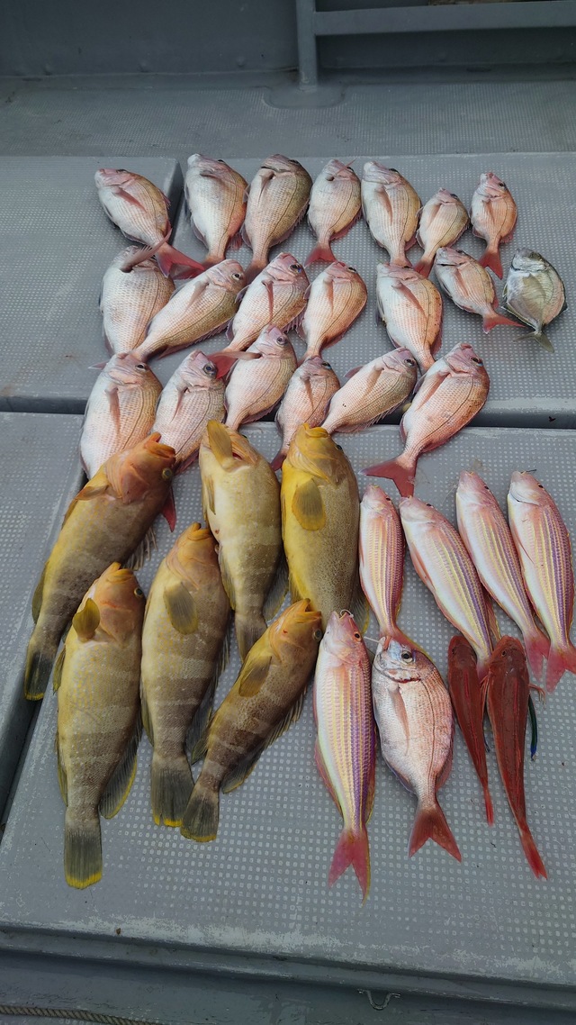 マダイ・アオナ(アオハタ)