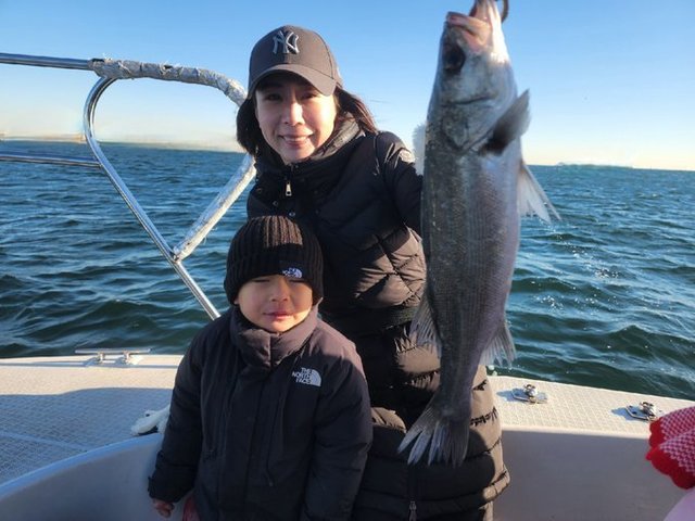 シーバス(スズキ)