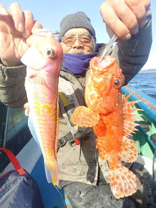 アマダイ(アカアマダイ)・オニカサゴ