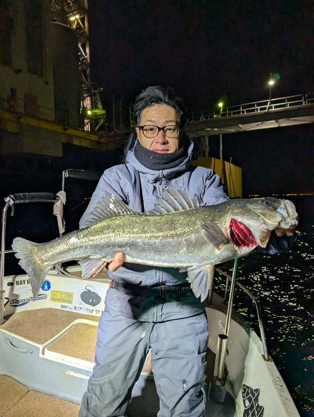 シーバス(スズキ)