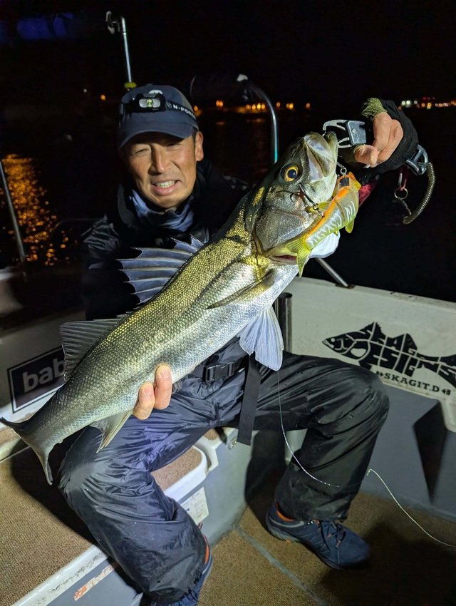 シーバス(スズキ)