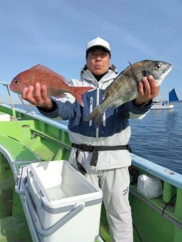 マダイ・クロダイ