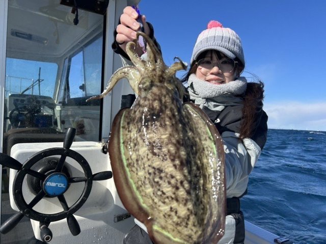 モンゴウイカ(カミナリイカ)