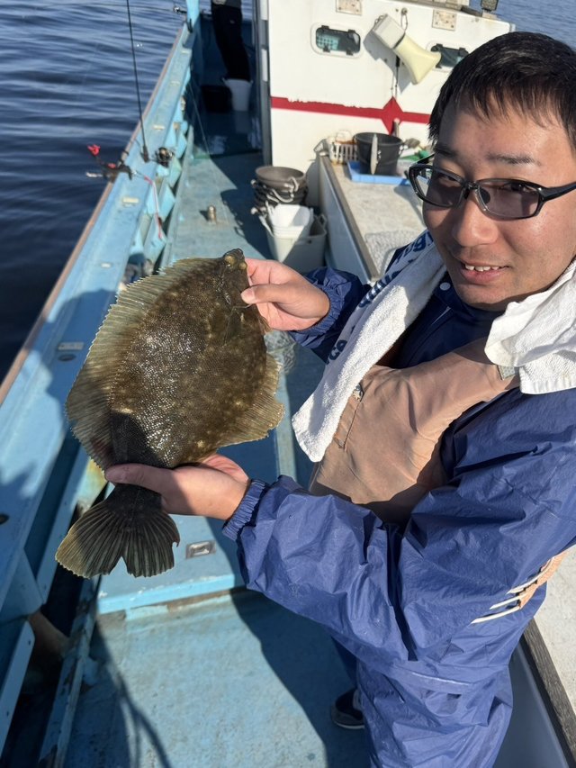 カレイ(マコガレイ)