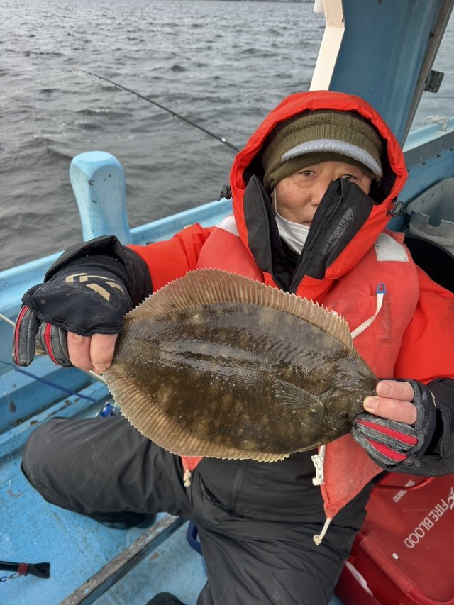 カレイ(マコガレイ)