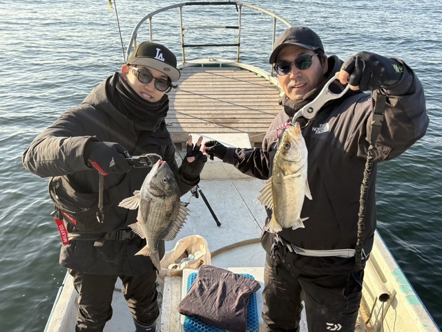 シーバス(スズキ)