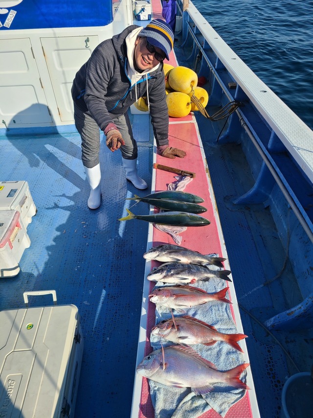マダイ・クロダイ・イナダ(ブリ)