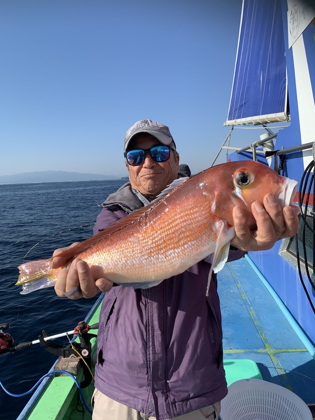 アマダイ(アカアマダイ)