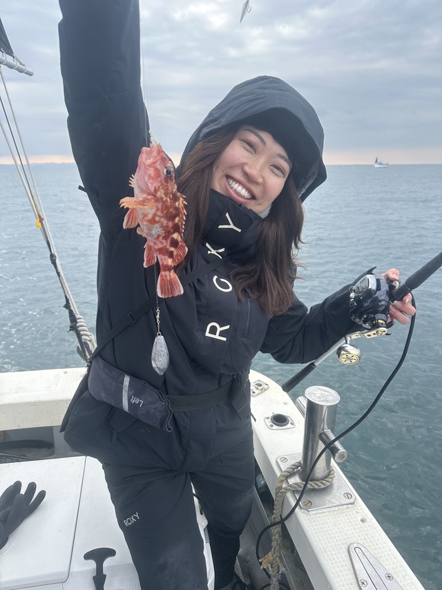 ガシラ(カサゴ)