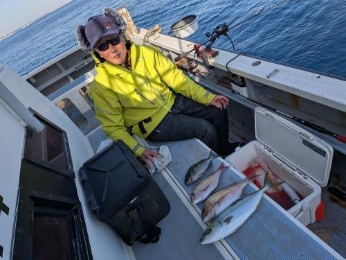 マダイ・メジナ・イナダ(ブリ)