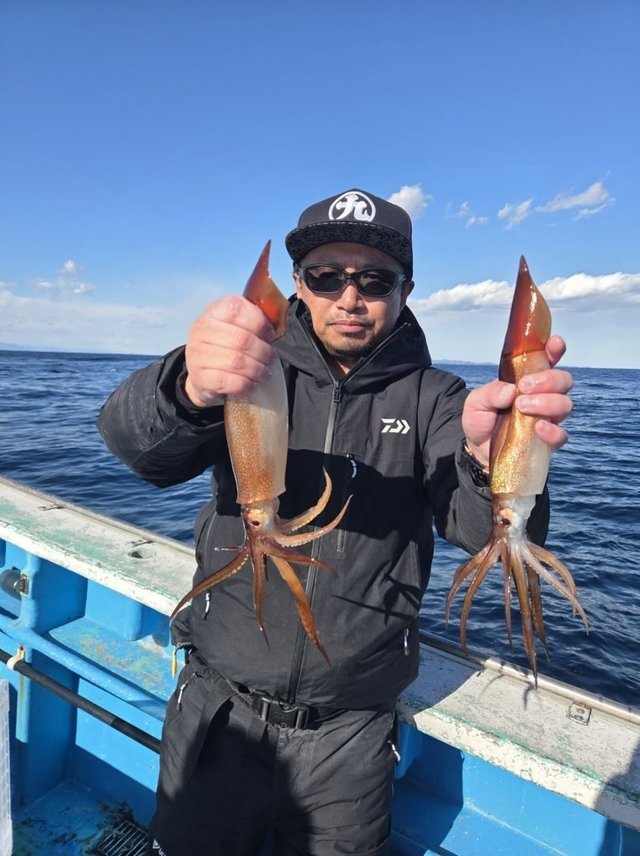 イカ(ケンサキイカ)