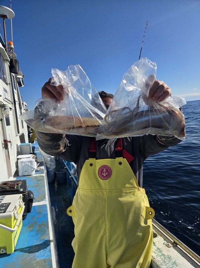 イカ(ケンサキイカ)