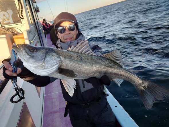 シーバス(スズキ)