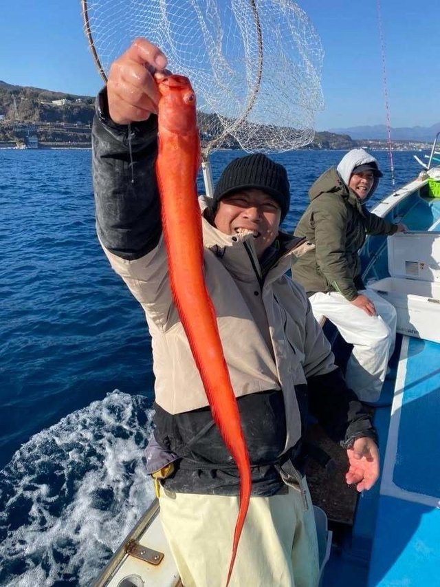 ヤガラ(アカヤガラ)