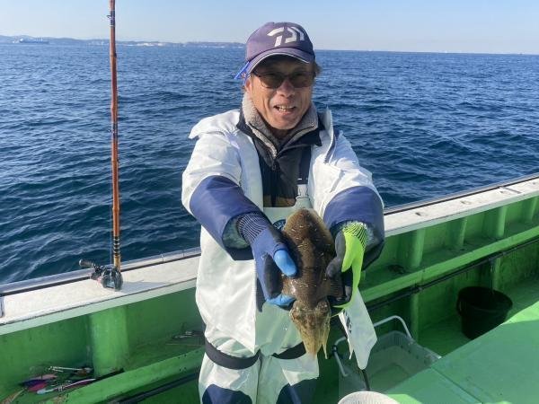 モンゴウ(カミナリイカ)