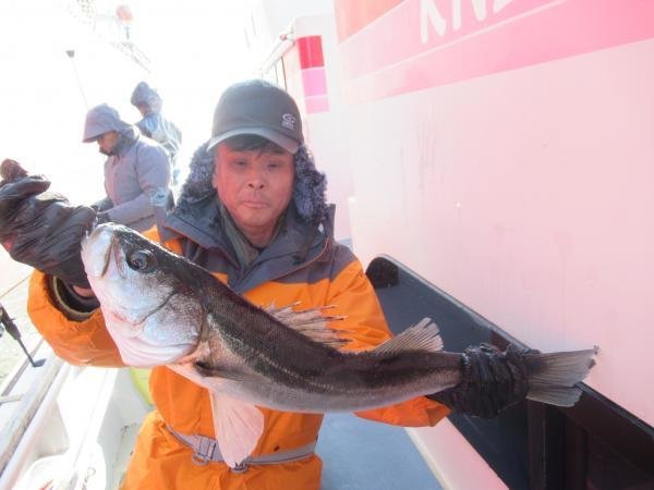 シーバス(スズキ)